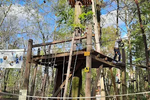 Kletterwald Darmstadt / Weitblick Naturerlebnis GmbH image