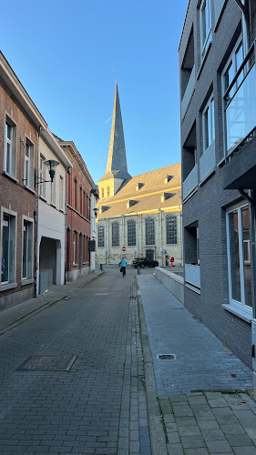 Beoordelingen van Sint-Pietersbandenkerk in Dendermonde - Kerk