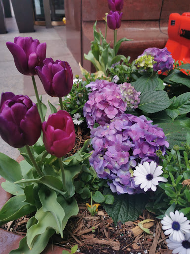 Performing Arts Theater «Gershwin Theatre», reviews and photos, 222 W 51st St, New York, NY 10019, USA