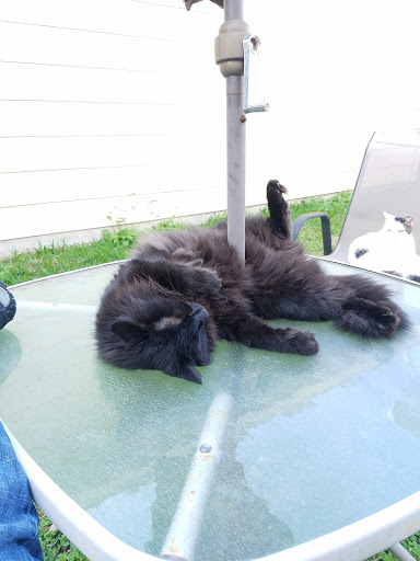 Motorcycle Dealer «Team Mancuso Powersports Southwest», reviews and photos, 7250 Southwest Fwy, Houston, TX 77074, USA