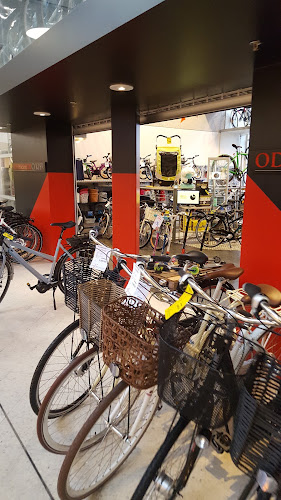 Calamity Torden dæk 28 anmeldelser af Oddershede Cykler ApS (Cykelbutik) i Odder (Midtjylland)