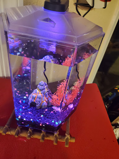 Pet Supply Store «Petco», reviews and photos, 3735 E Castro Valley Blvd, Castro Valley, CA 94552, USA