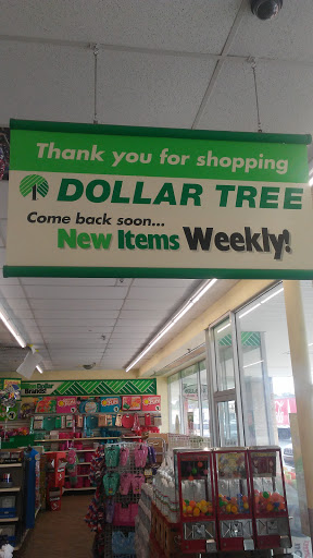 Dollar Store «Dollar Tree», reviews and photos, 928 Patricia Ave, Dunedin, FL 34698, USA