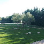 Photo n°4 de l'avis de Mariangela.e fait le 29/09/2019 à 19:42 sur le  Coluni Events Resort Sport and SPA à Gravina in Puglia