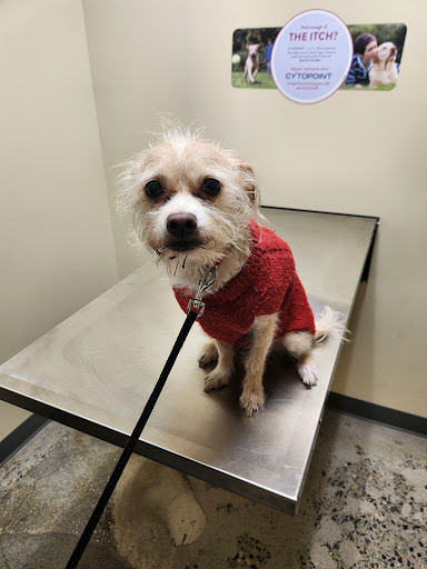 Vetco Total Care Animal Hospital