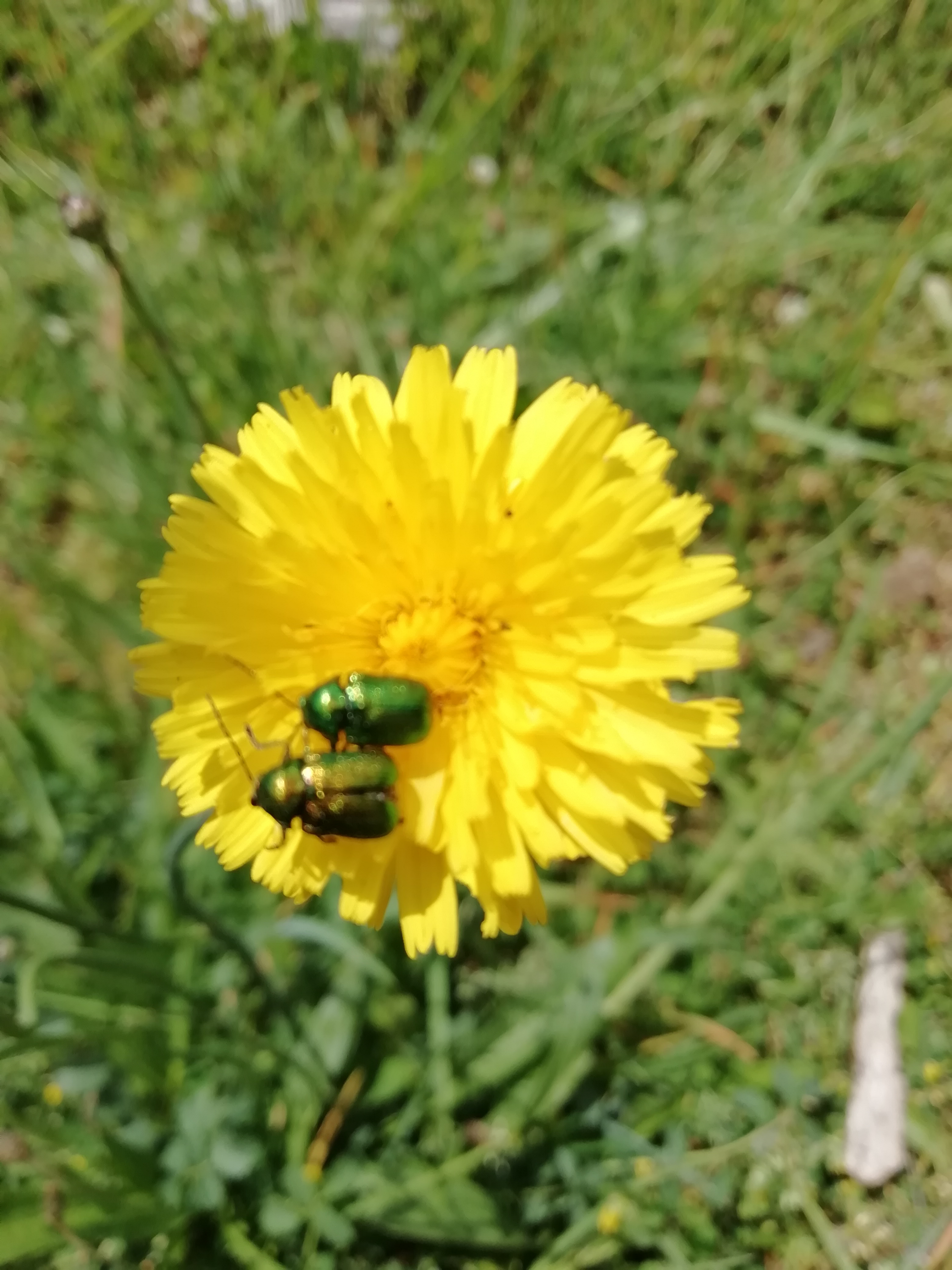 Photo n° 8 de l'avis de Tiphaine.a fait le 06/08/2022 à 15:43