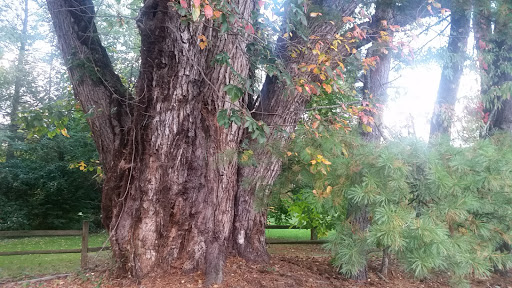 Hotel «Waynesville Inn Golf Resort and Spa», reviews and photos, 176 Country Club Dr, Waynesville, NC 28786, USA