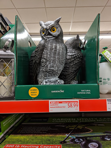 Supermarket «ALDI», reviews and photos, 19620 Holt St NW, Elk River, MN 55330, USA