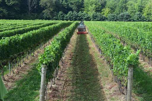 Winery «M Cellars», reviews and photos, 6193 S River Rd W, Geneva, OH 44041, USA