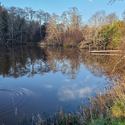 Museum «Cranberry Museum», reviews and photos, 2907 Pioneer Rd, Long Beach, WA 98631, USA