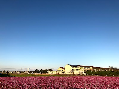 宮崎市立檍北小学校