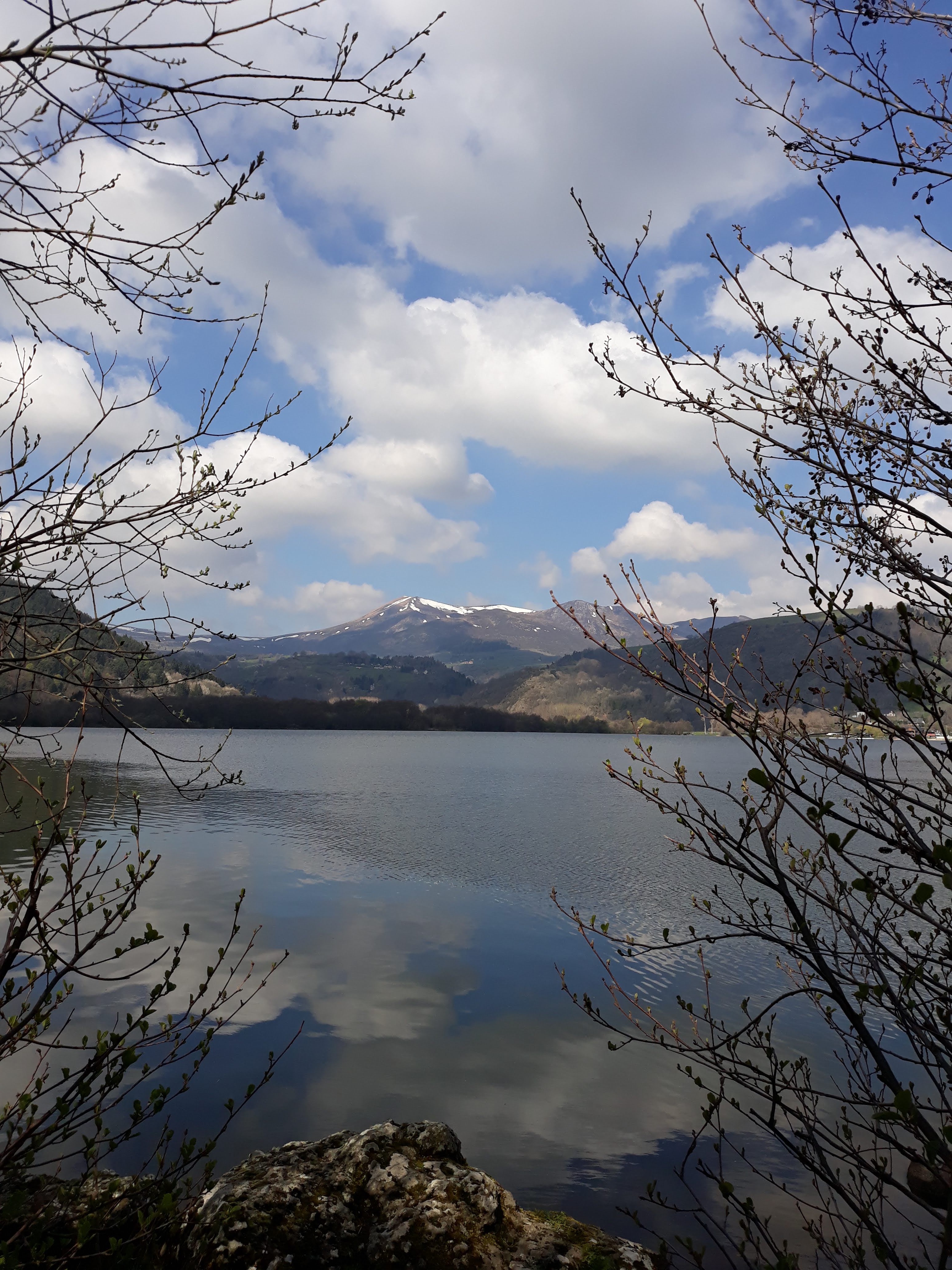 Photo n° 3 de l'avis de torokiet. fait le 02/05/2019 à 15:36