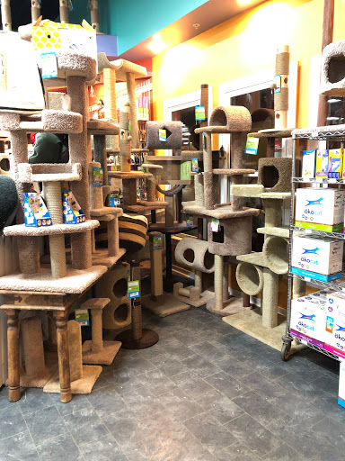 Pet Store «All Pets Club», reviews and photos, 1167 N Colony Rd, Wallingford, CT 06492, USA