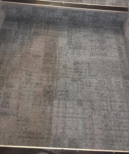 Total Clean Carpet & Upholstery