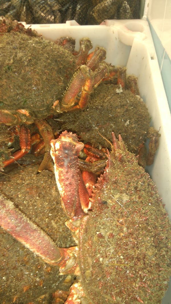 Imagen de Peixeria A Xoubiña (3 de 6)