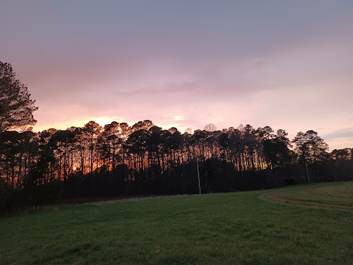 Hogan's Magnolia View Farm