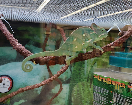 Pet Supply Store «Petco Animal Supplies», reviews and photos, 11147 Park Blvd N, Seminole, FL 33772, USA