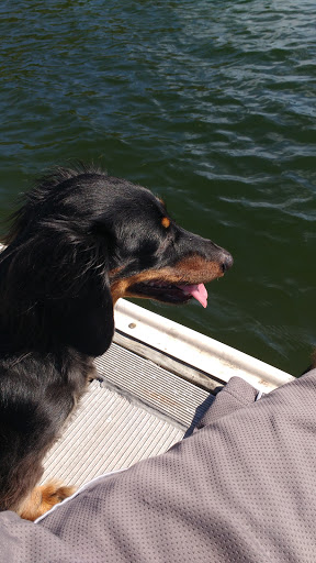 Nature Preserve «Emerson Point Preserve», reviews and photos, 5801 17th St W, Palmetto, FL 34221, USA