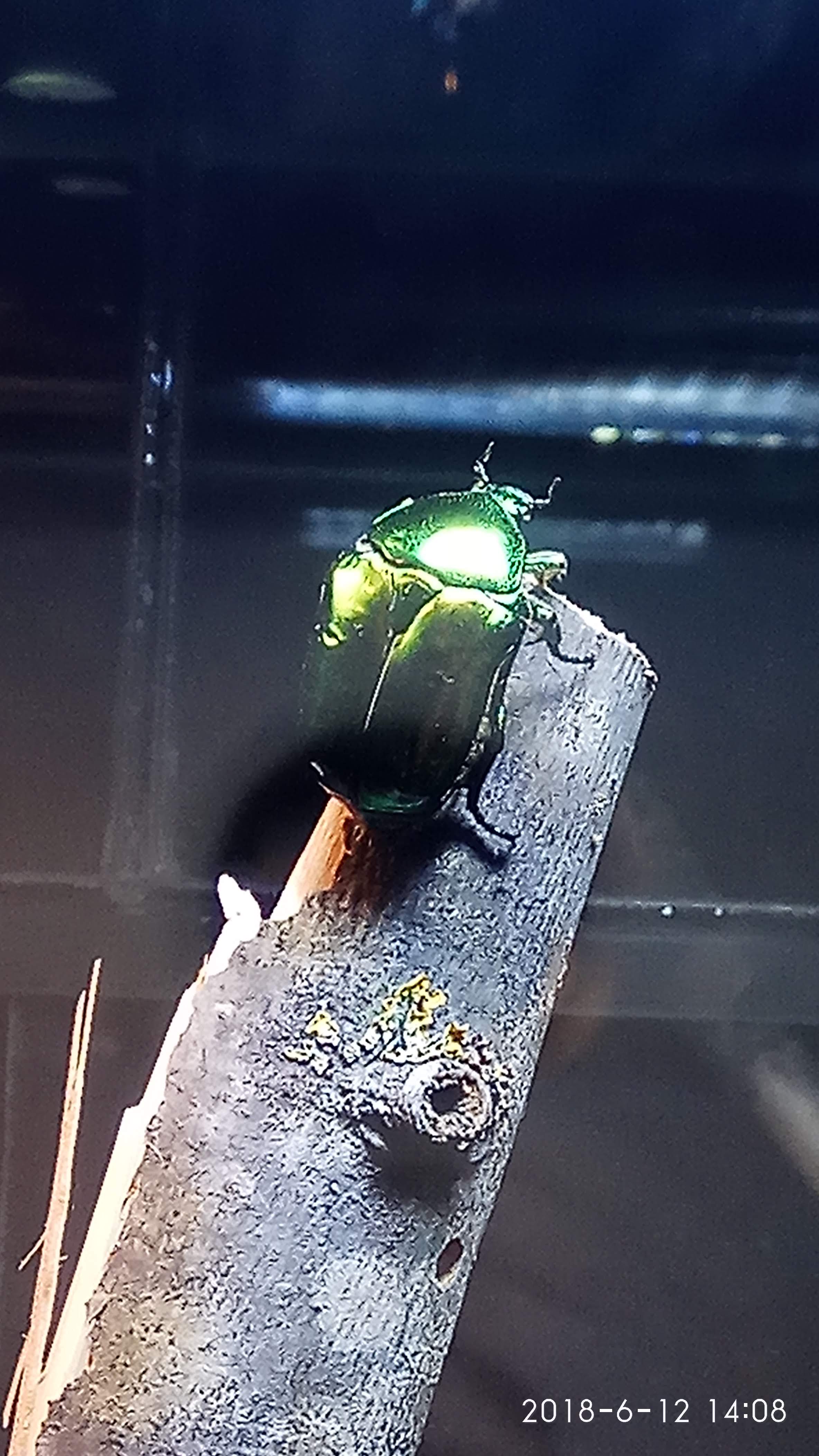 Photo n° 11 de l'avis de Swiss.e fait le 15/06/2018 à 19:24