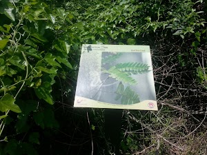 Wolf Pen Creek Park - photo 68