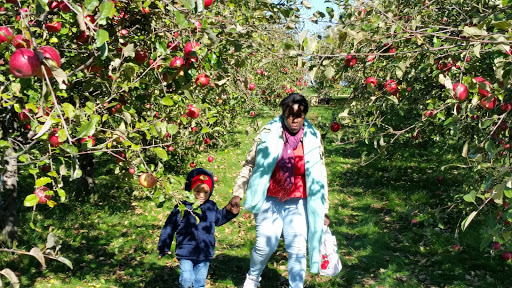 Winery «Maiden Rock Winery & Cidery», reviews and photos, W12266 King Ln, Stockholm, WI 54769, USA