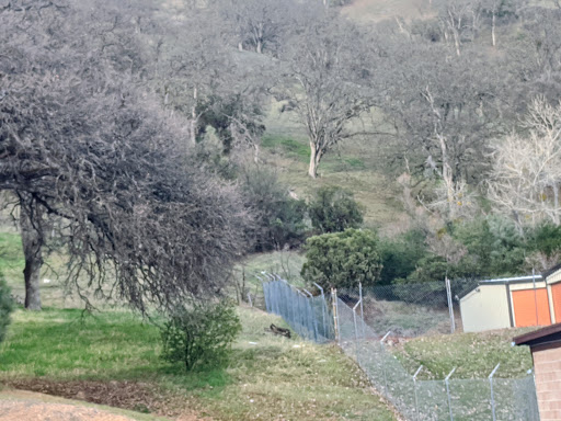 Self-Storage Facility «Big Oak Storage», reviews and photos, 13300 State Hwy 20, Clearlake Oaks, CA 95423, USA