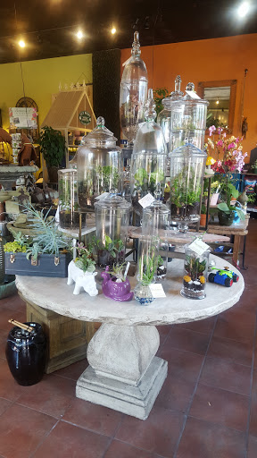 Gift Shop «Wild Flowers», reviews and photos, 1201 Madison St, Denver, CO 80206, USA