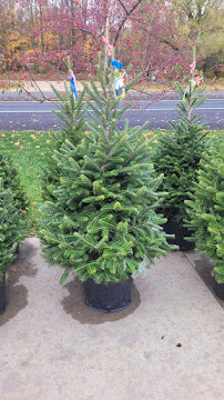 Mattawan Landscaping Supply - Photo 6 - Car repair in Mattawan, MI, Kalamazoo