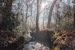 Gledhow Valley Woods image