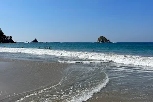 Playa El Palmar image