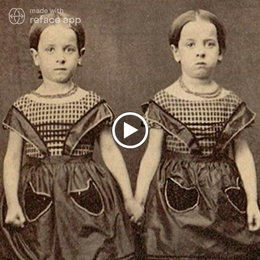 Grocery Store «Market At the Watergate», reviews and photos, 211 Yoakum Pkwy, Alexandria, VA 22304, USA