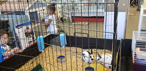 Double M Feed Garden & Pet Supply, 1121 Gause Blvd, Slidell, LA 70458, USA, 