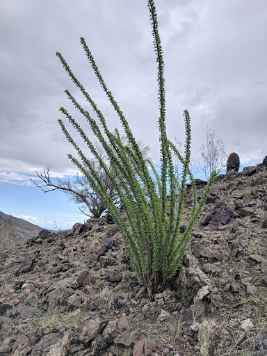 Park «South Mountain Park», reviews and photos, 10919 S Central Ave, Phoenix, AZ 85042, USA