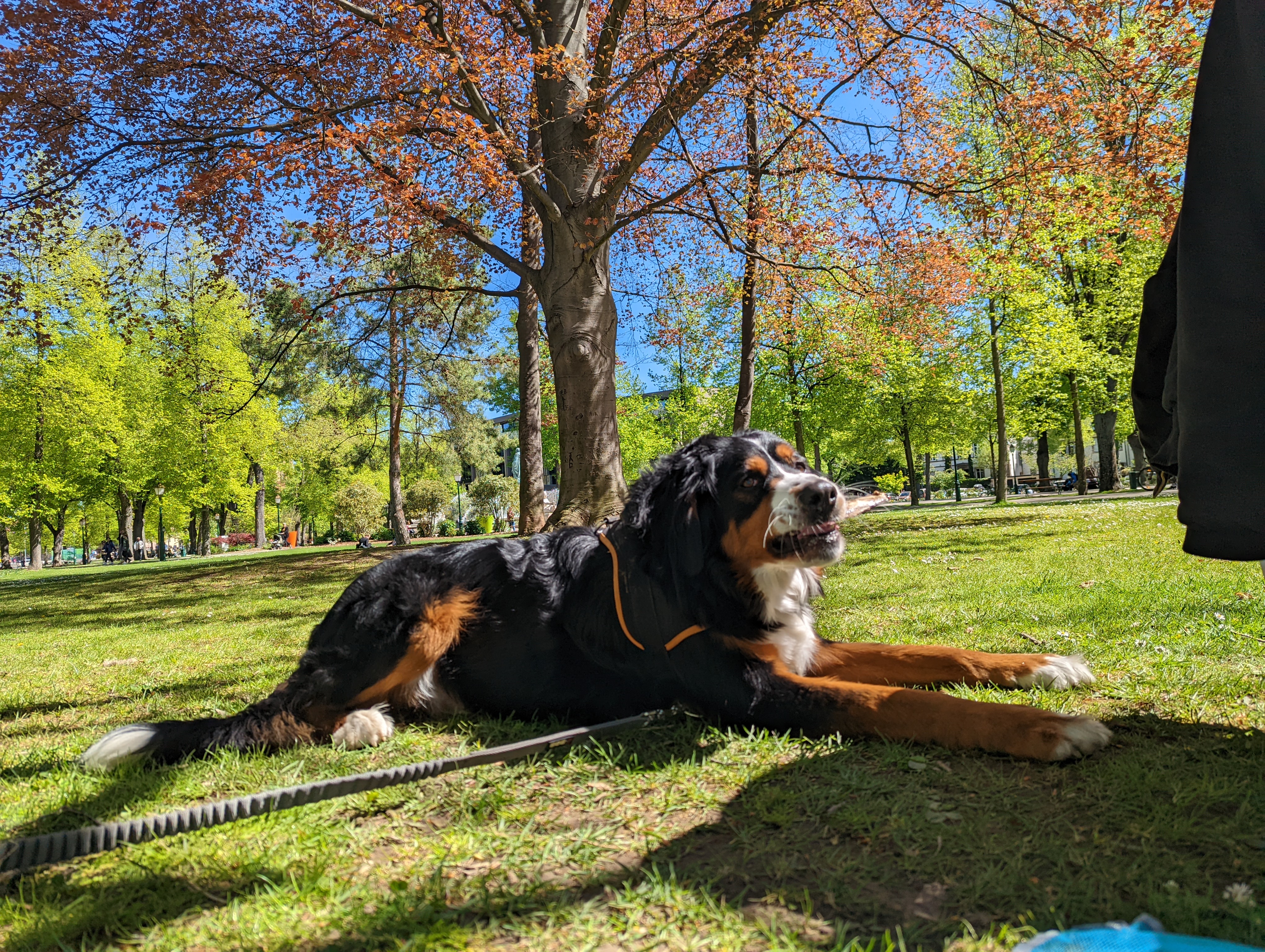 Photo n° 10 de l'avis de christophe.e fait le 29/04/2022 à 19:38