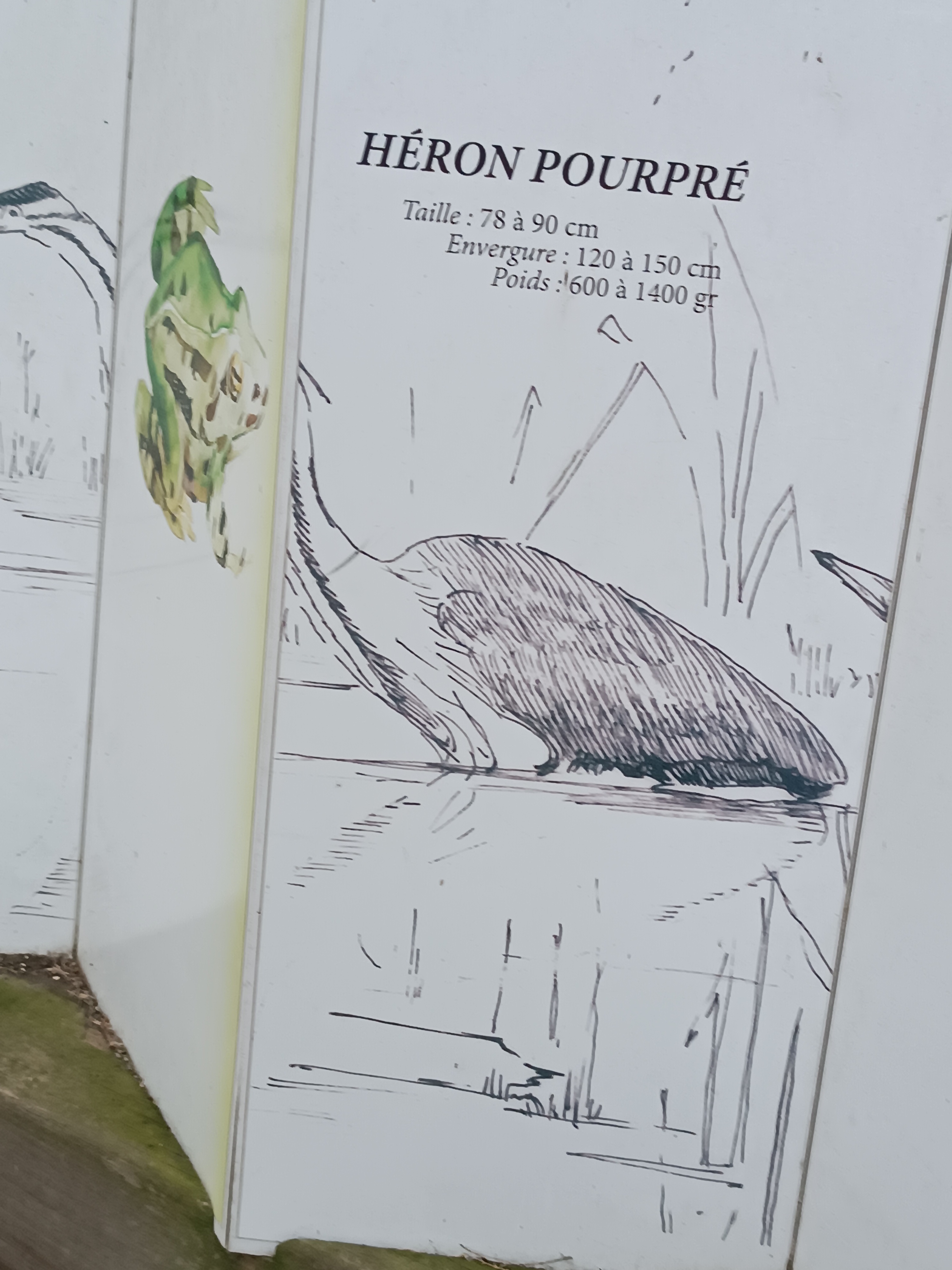 Photo n° 2 de l'avis de Didier.I fait le 19/05/2023 à 17:40