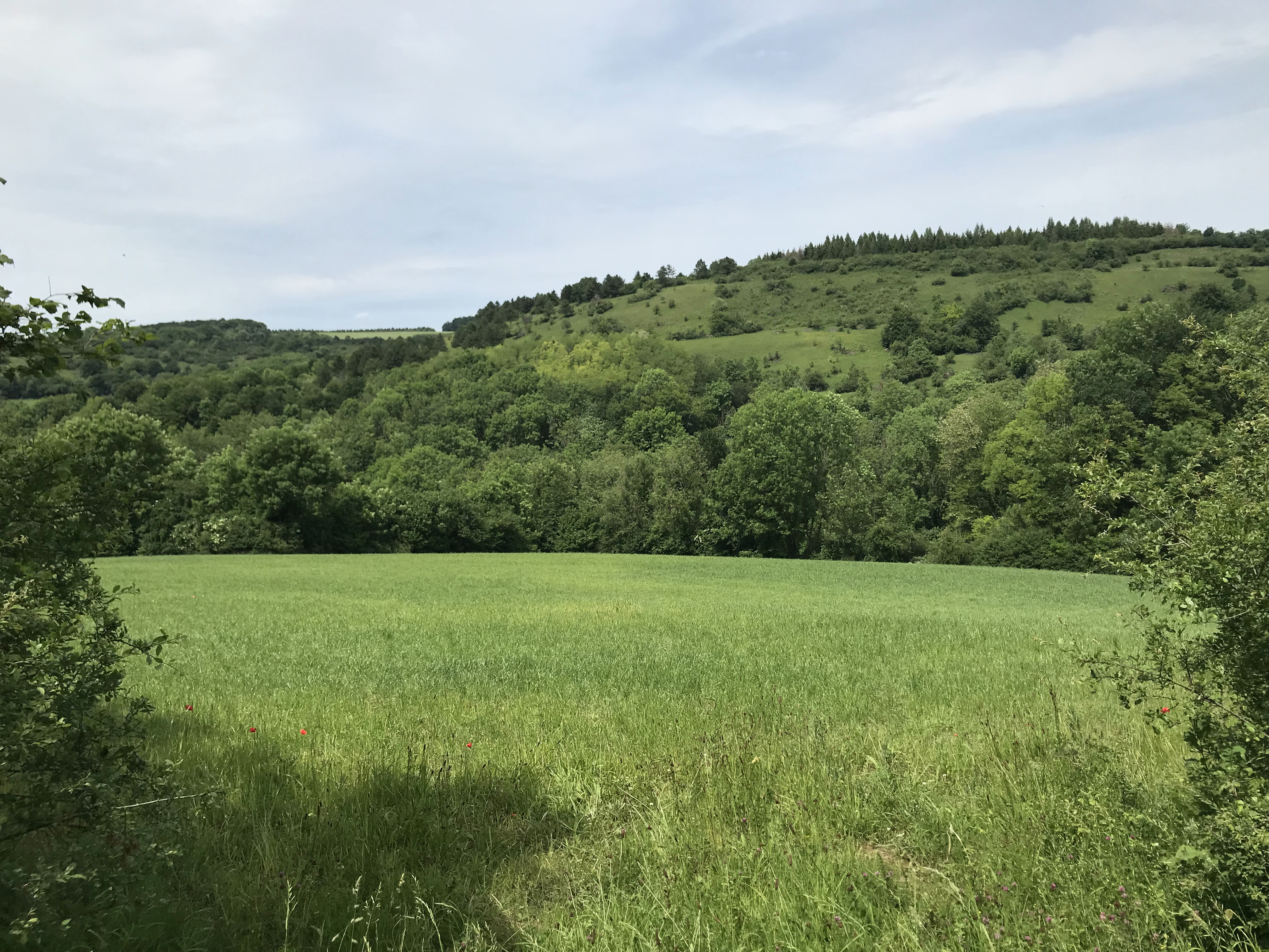 Photo n° 23 de l'avis de Philippe.e fait le 19/06/2019 à 09:25