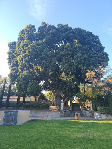 Park «Hart Park», reviews and photos, 701 S Glassell St, Orange, CA 92866, USA