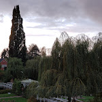 Photo n°1 de l'avis de Winter.a fait le 20/10/2019 à 14:15 sur le  Roseraie d'Uetersen à Uetersen