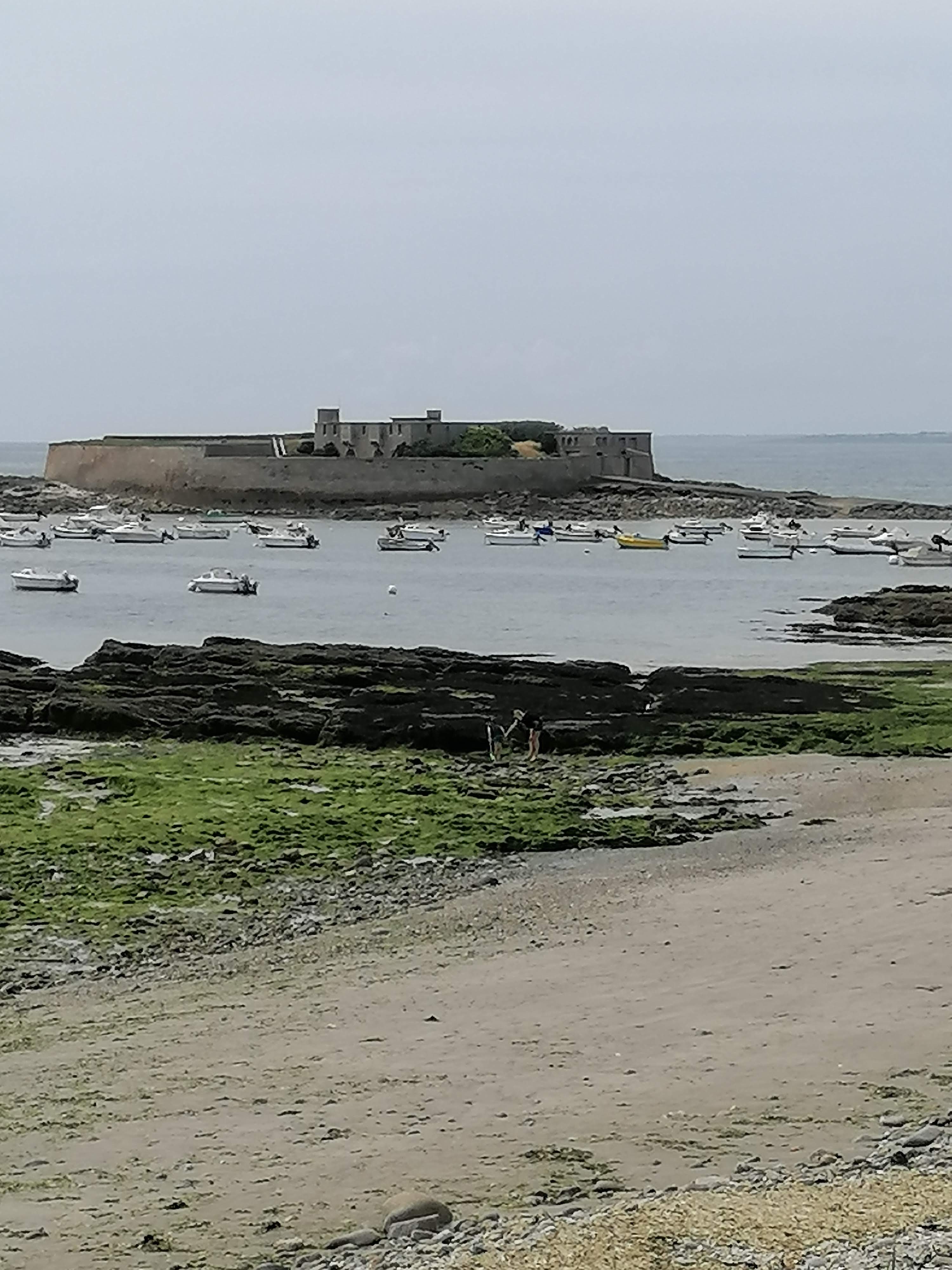 Photo n° 2 de l'avis de Gérard.� fait le 22/06/2023 à 10:24