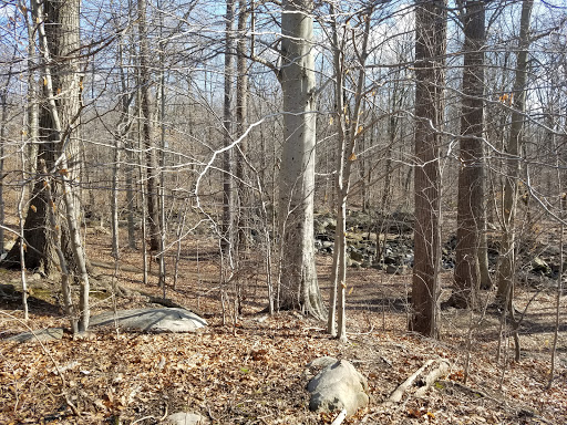 Park «Bringhurst Woods Park», reviews and photos, 5001 Washington Street Extension, Wilmington, DE 19809, USA