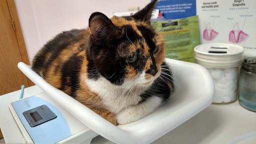 Meyer Veterinary Clinic image