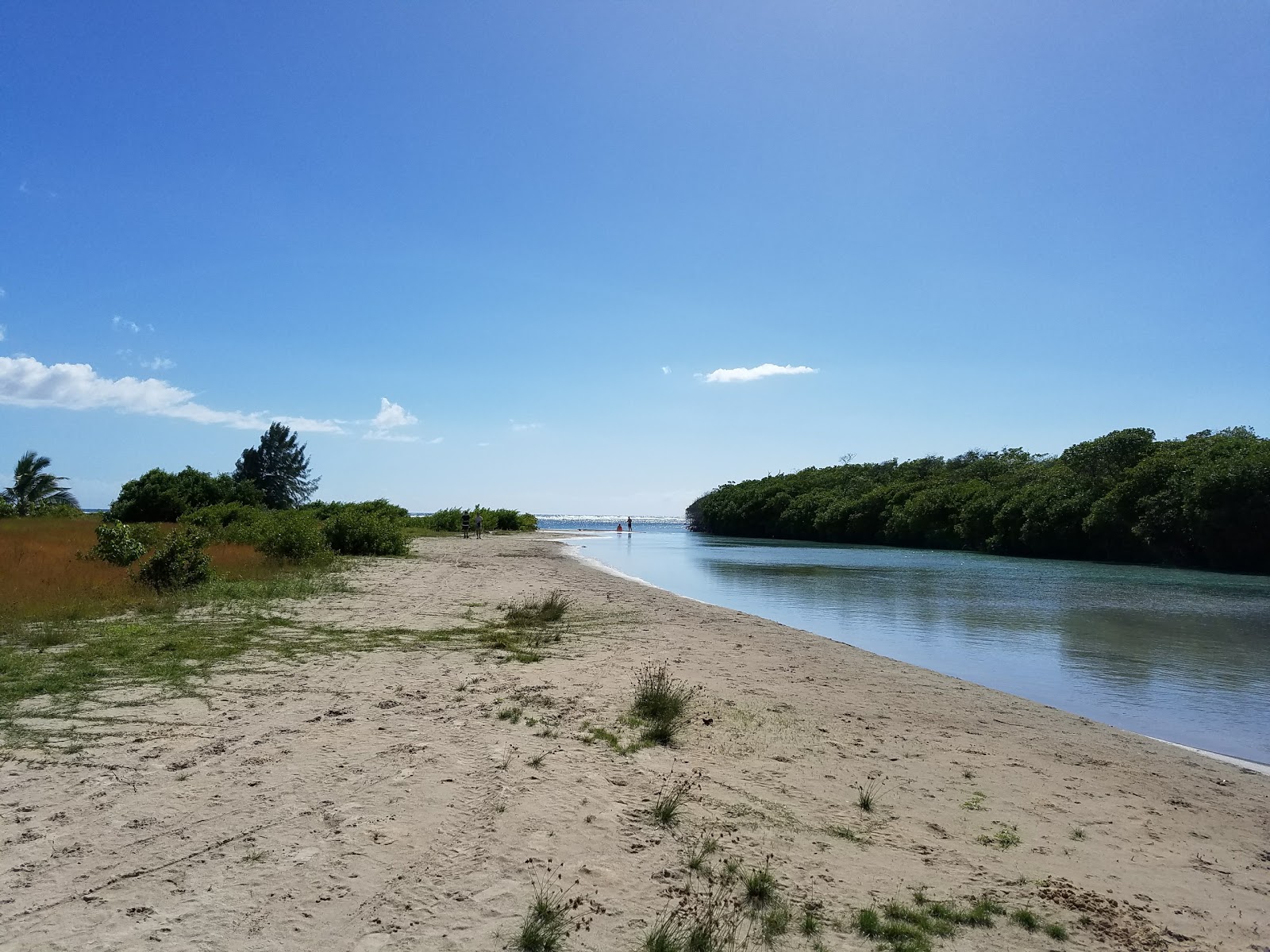 Foto di Playa Ballena con parzialmente pulito livello di pulizia