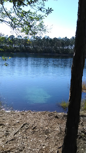 National Forest «Ocala National Forest», reviews and photos, 40929 FL-19, Umatilla, FL 32784, USA