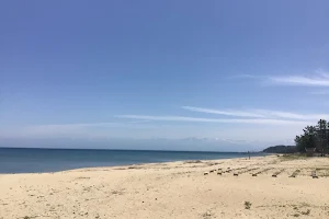 島尾海岸 image