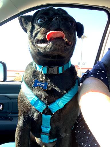 Pet Supply Store «PetSmart», reviews and photos, 4045 Dowlen Rd, Beaumont, TX 77706, USA