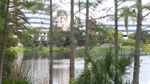 Museum «Orlando Museum of Art», reviews and photos, 2416 N Mills Ave, Orlando, FL 32803, USA