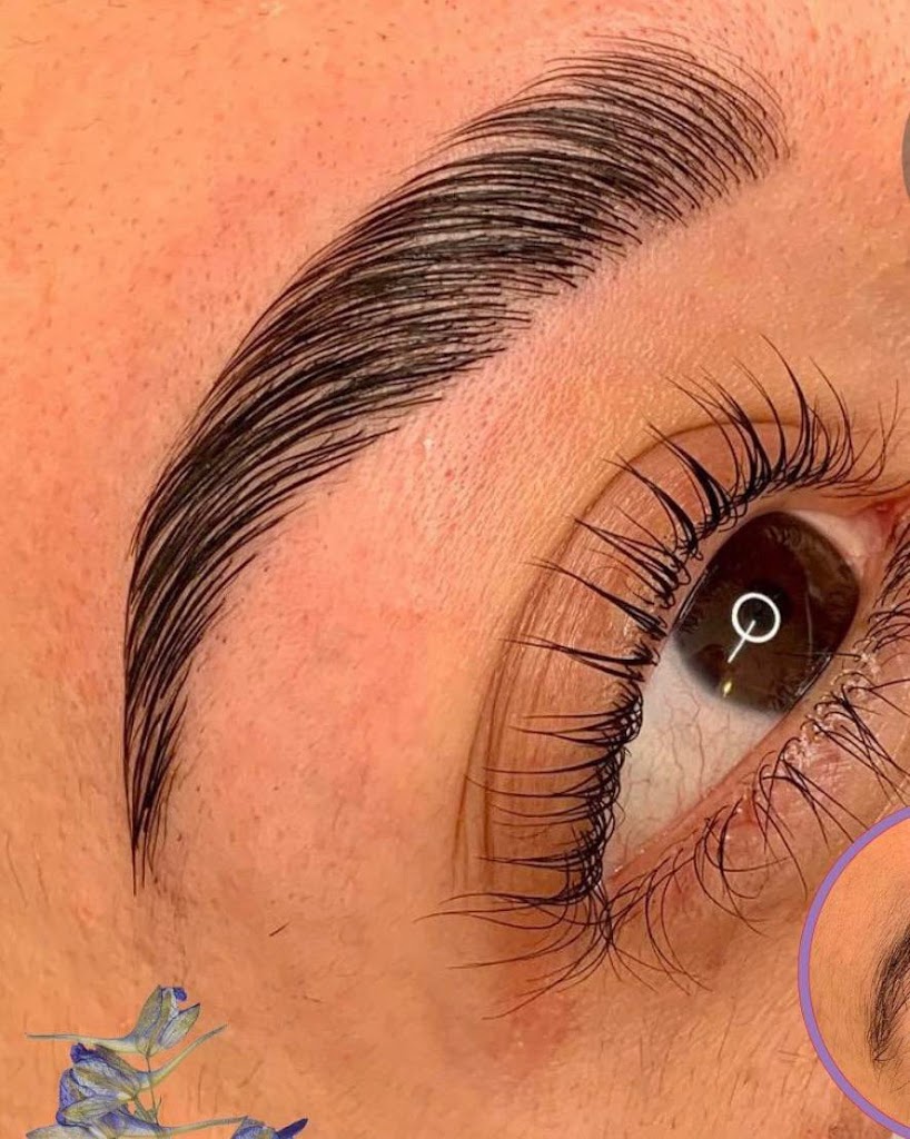 eyelashes and brows stefany 11722