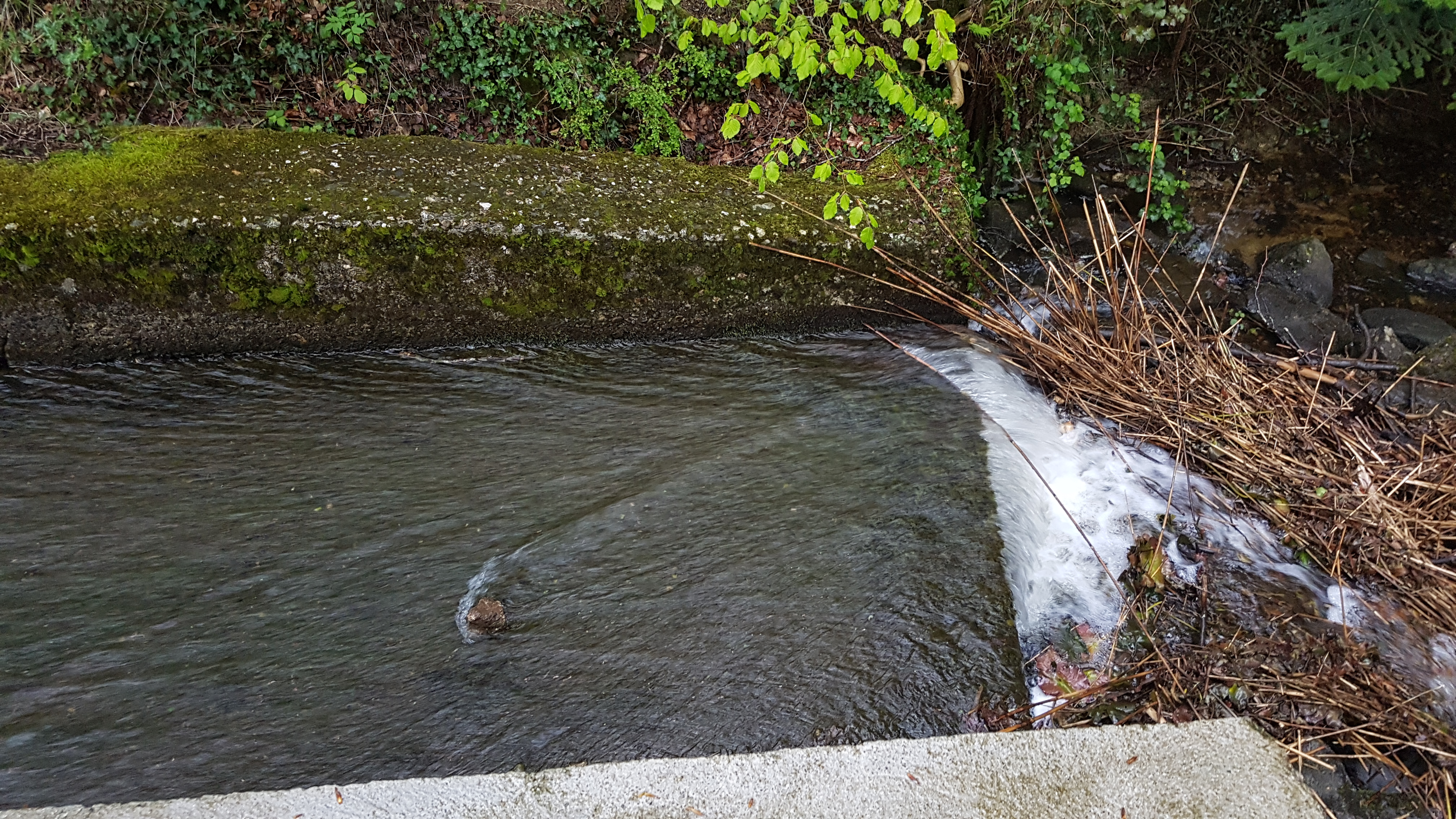 Photo n° 2 de l'avis de Geoffrey.u fait le 31/05/2019 à 02:03