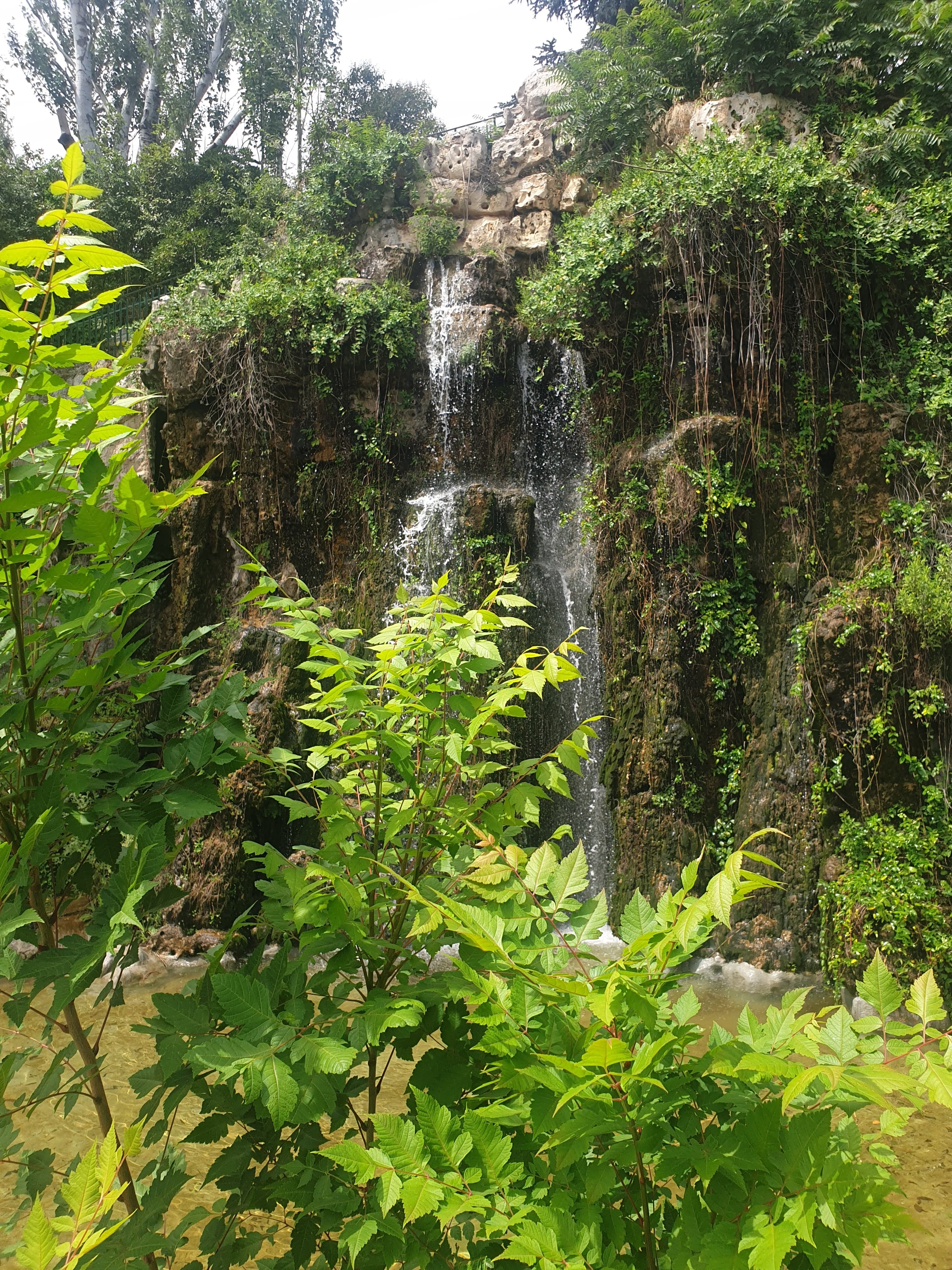 Photo n° 5 de l'avis de Jm.o fait le 09/08/2020 à 11:29