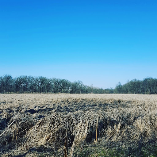 Nature Preserve «Lincoln Marsh», reviews and photos, Harrison Ave & Pierce Ave, Wheaton, IL 60187, USA